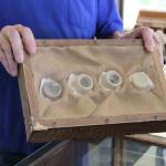 IMG_7764 (May 28, 2024)